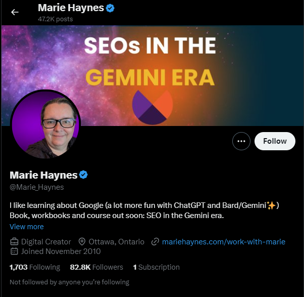 Marie Haynes SEO Etkileyicisi